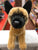 Douglas Klaus Belgian Malinois Dog Plush 12"