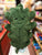 Jellycat Woodland Oak Leaf Plush 9"
