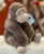 Jellycat Gregory Gorilla Plush 9”