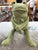 Jellycat Fergus Frog Plush 8”