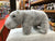 Douglas Hollie Hippo Plush 11"