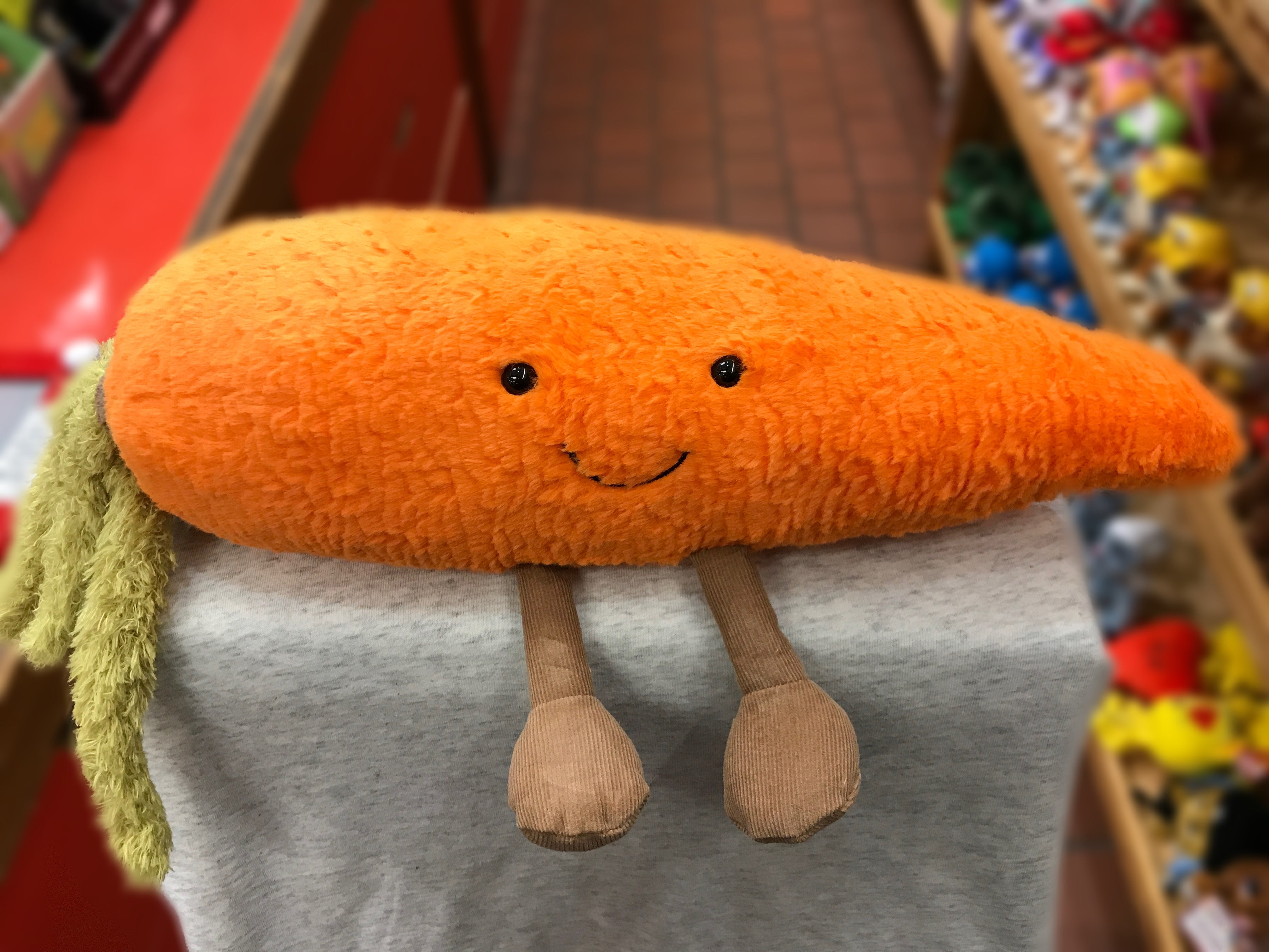 Carrot Plush Toy Mat – AlphaOne