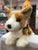 Douglas Arnie Tri-Color Corgi Dog Plush 12"