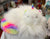 Douglas Caticorn Rainbow Fuzzle Plush 14”