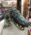 Folkmanis American Alligator Puppet 31"