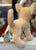 Douglas Carlos Chihuahua Dog Plush 10”