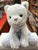 Gund Cozys Kitty Cat 10"