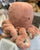 Jellycat Odell Octopus Plush