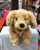 Folkmanis Golden Retriever Puppy Puppet 17"