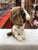 Ty Beanie Boo Muddles Brown and White Dog Plush 6"
