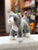 Douglas Scatter Gray Cat Plush 6"