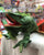 Folkmanis Iguana Puppet 32"