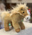 Gund Horse Chatter Tan Plush 4.5”