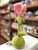 Jellycat Flowerlette Rose Plush 8"