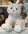 Gund Bootsie White Cat Plush 11”